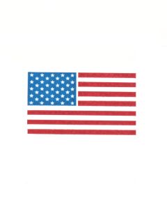 American Flag (sets of 10)
