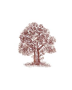 Maple Tree (sets of 10)