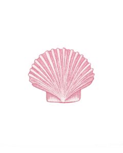 Seashell (sets of 10)