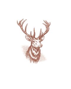 Stag with Envelope