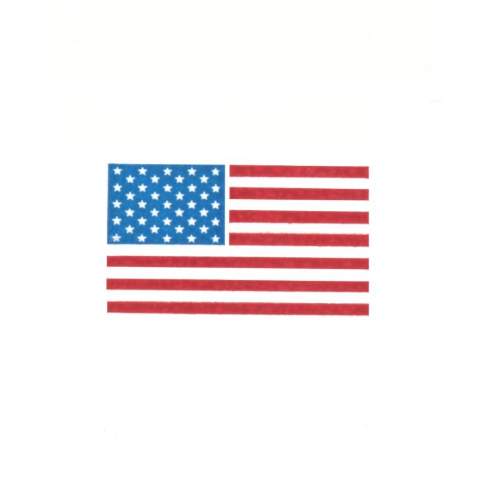 American Flag (sets of 10)