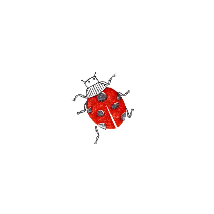 Ladybug Flying Wish Paper