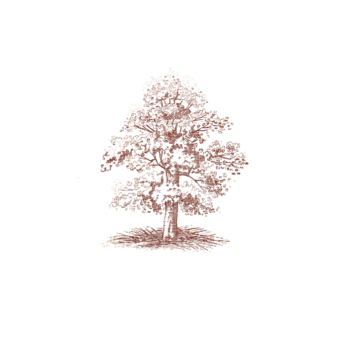 Oak Tree (sets of 10)