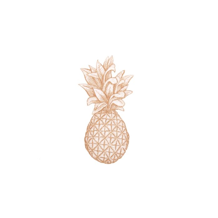 Pineapple (sets of 10)