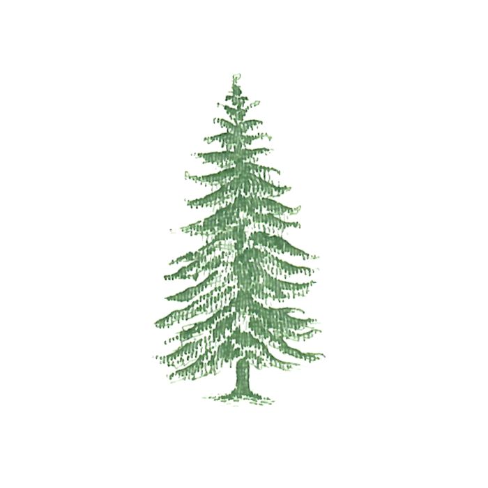 Pine Tree Motif