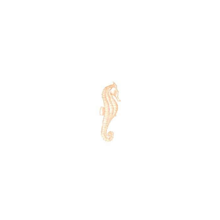 Seahorse - Engraved Stationery