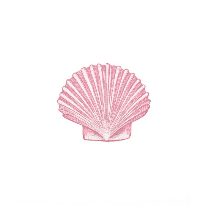 Seashell (sets of 10)