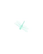 Dragonfly - Engraved Stationery