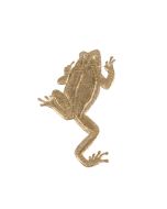Jumping Frog (sets of 10)