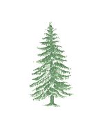 Pine Tree Motif