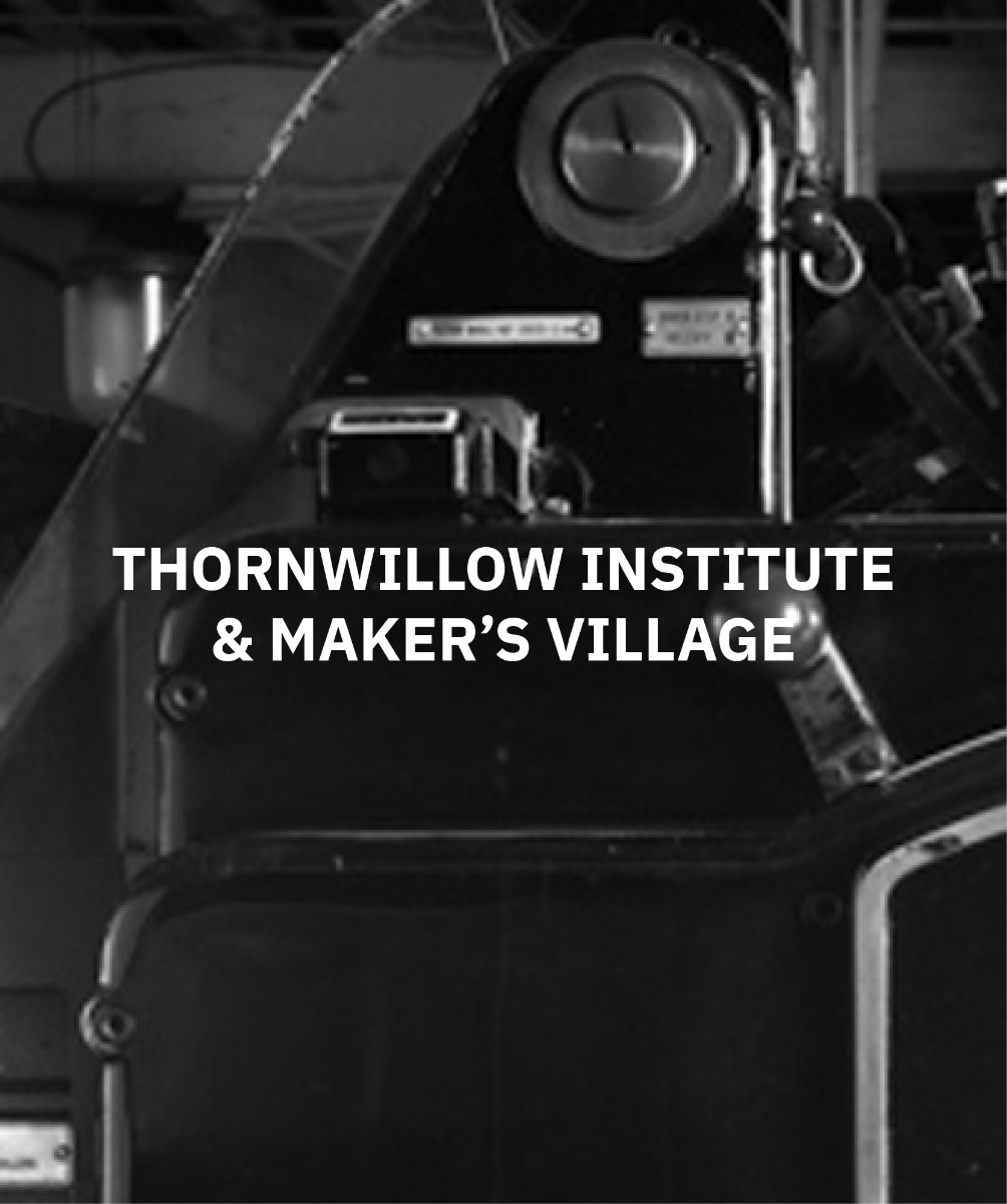 THORNWILLOW